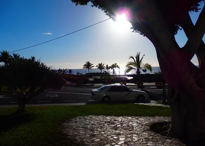 Apartment Edificio Orion *